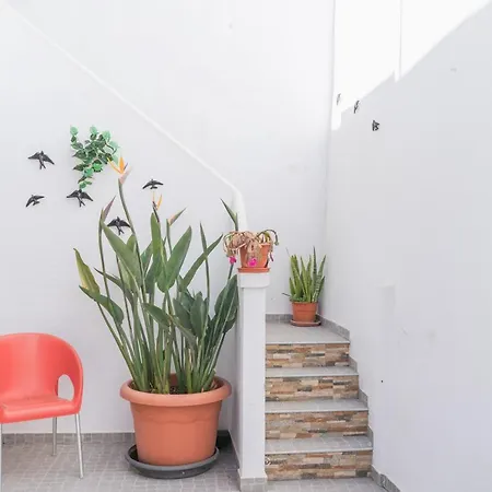 Amelia - Surf Camp Appartement