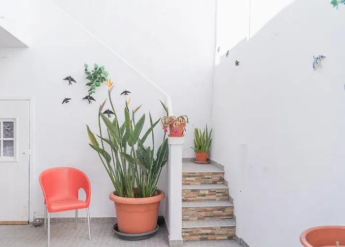 Amelia - Surf Camp アパート